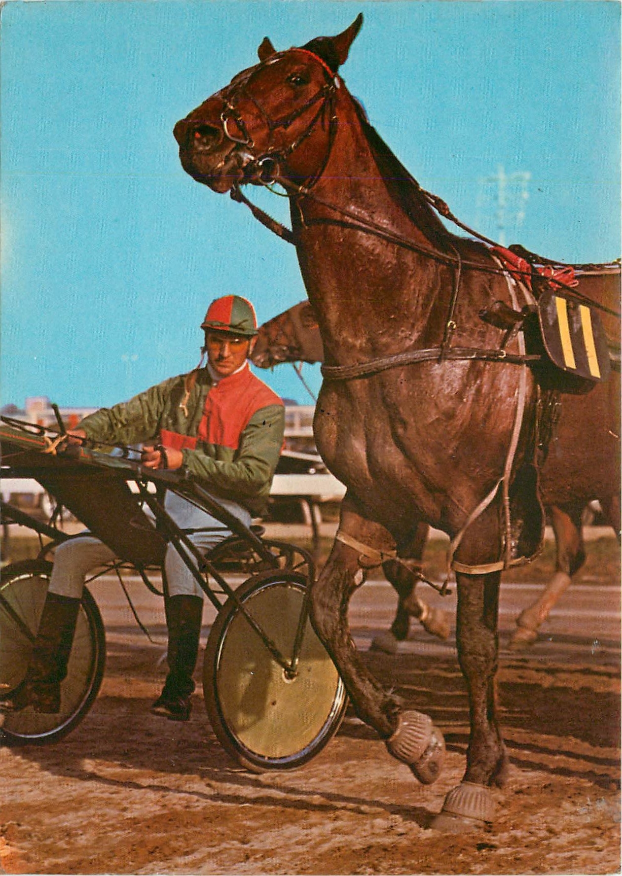 CPSM Au Soleil de la Cote d'Azur Cagnes sur Mer Hippodrome cote d'Azur Preparatifs pour le depart