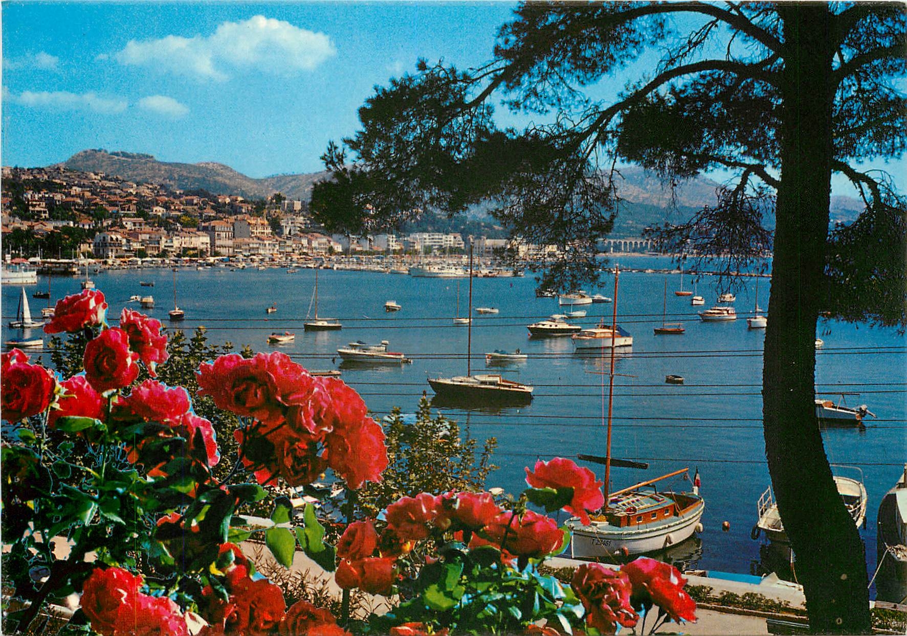 CPSM Charmes et soleil de la Cote d'Azur Bandol Perspective sur le port