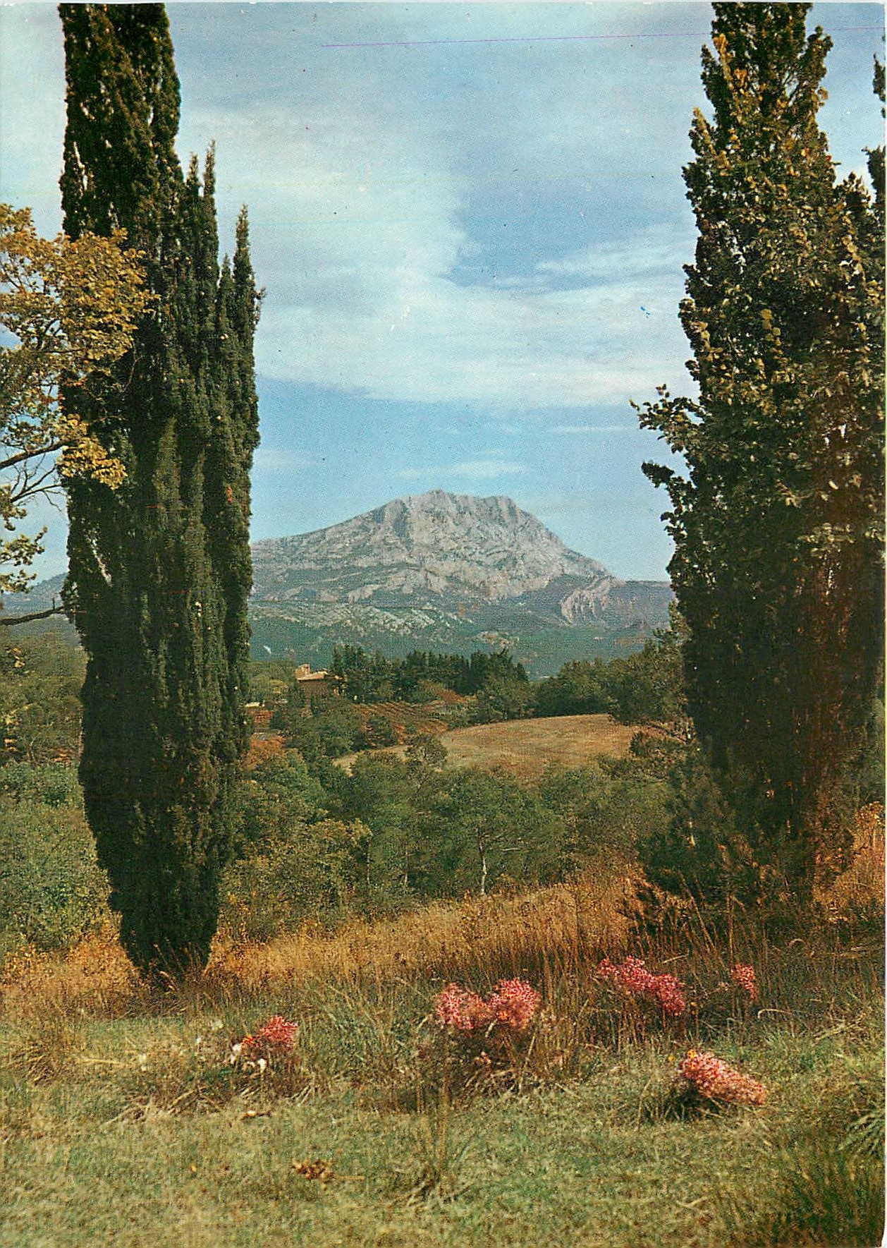 CPSM La Cite de Roy Rene Aix en Provence Montagne Sainte Victoire