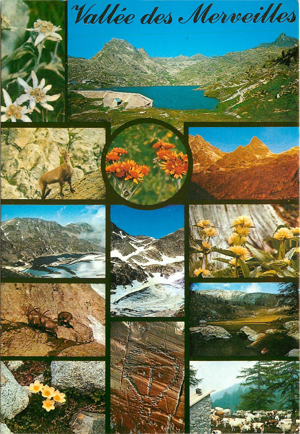 CPSM Souvenir de la Vallee des Merveilles (Alpes Mmes)