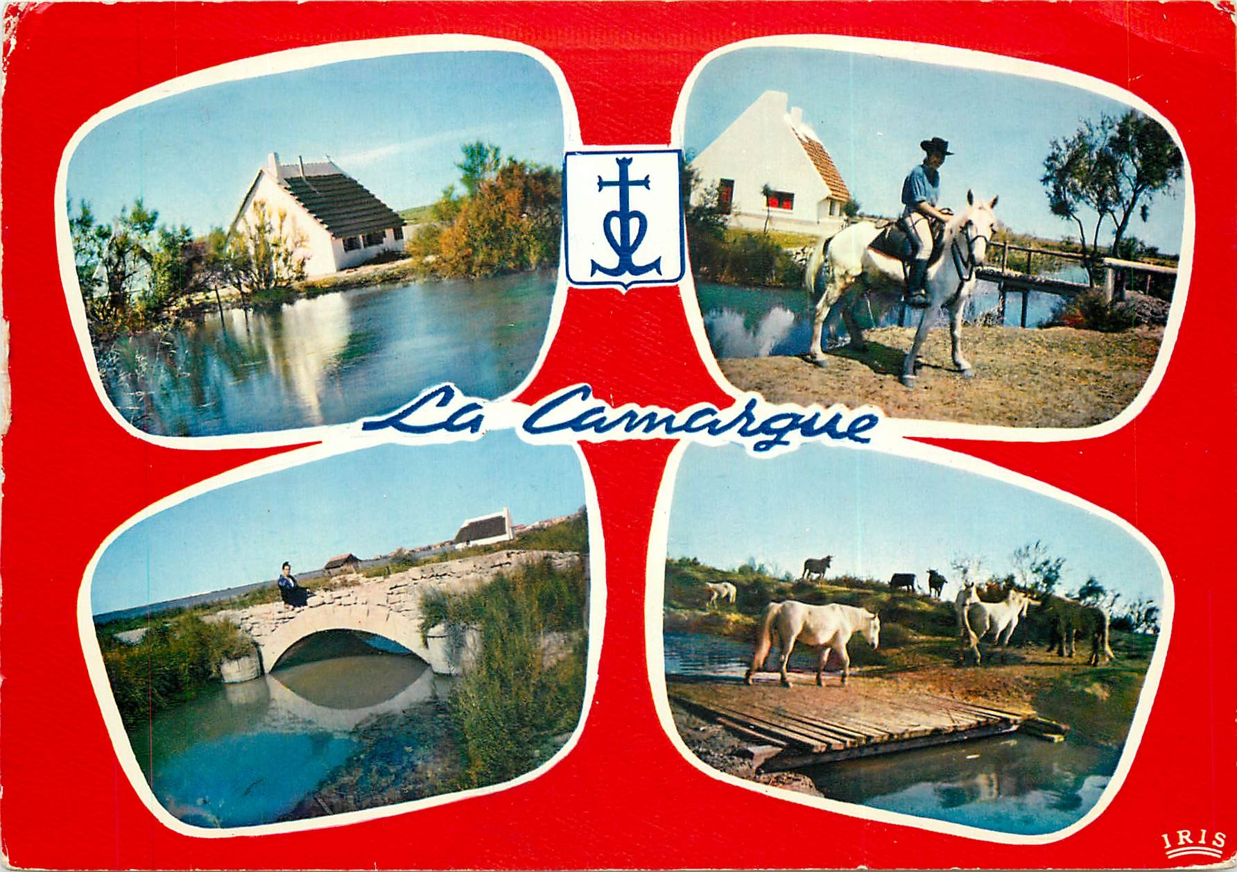 CPSM La Camargue