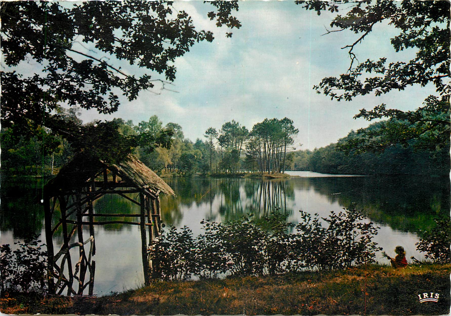 CPSM Le Limousin Pittoresque l'Etang de Ruffauds
