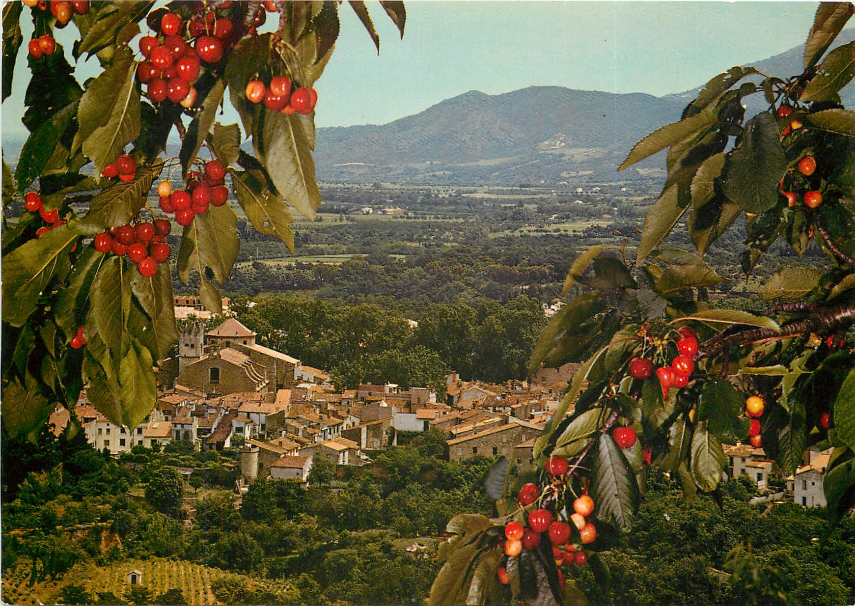 CPSM Ceret (Pyr Or) Ville reputee par ses ceristes Vue generale