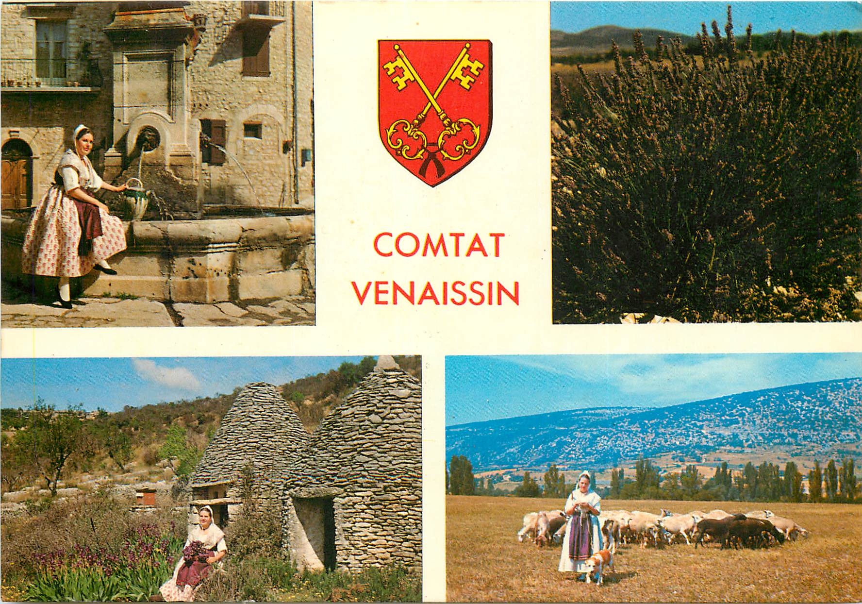 CPSM Les Belles images de Provence Scenes Provencales