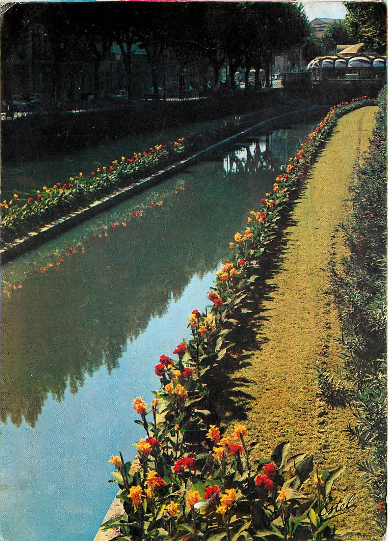 CPSM Perpignan les Quais de la Basse