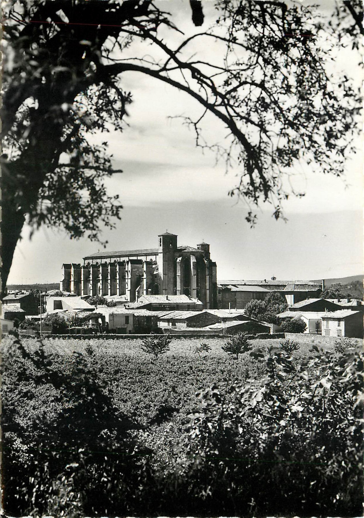 CPSM St Maximin la Ste Baume (Var) La basilique Ste Madeleine (XIIIE SÂ°