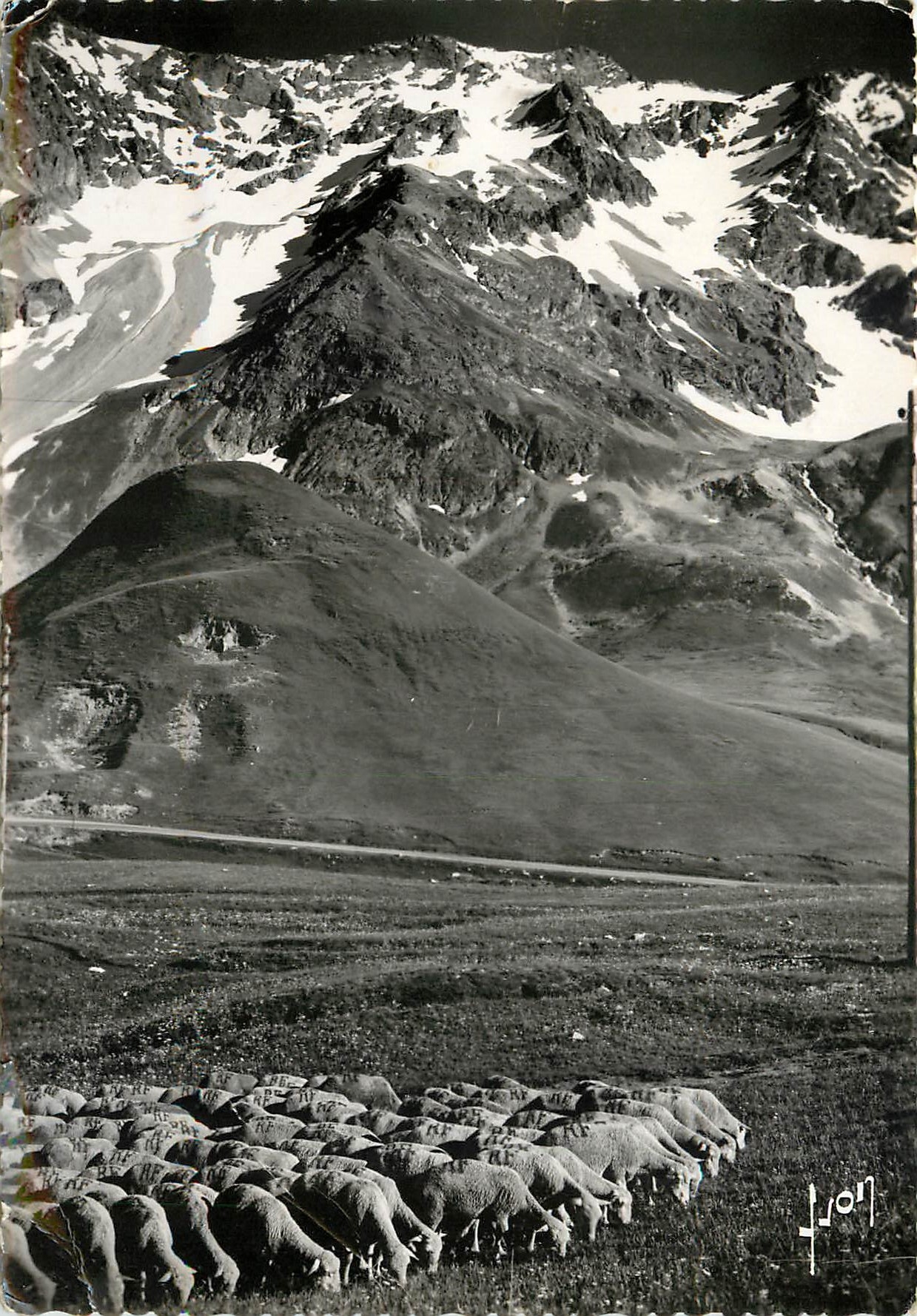 CPSM Lautaret alt 2058  m les Transhumants et le massif du Combeynot