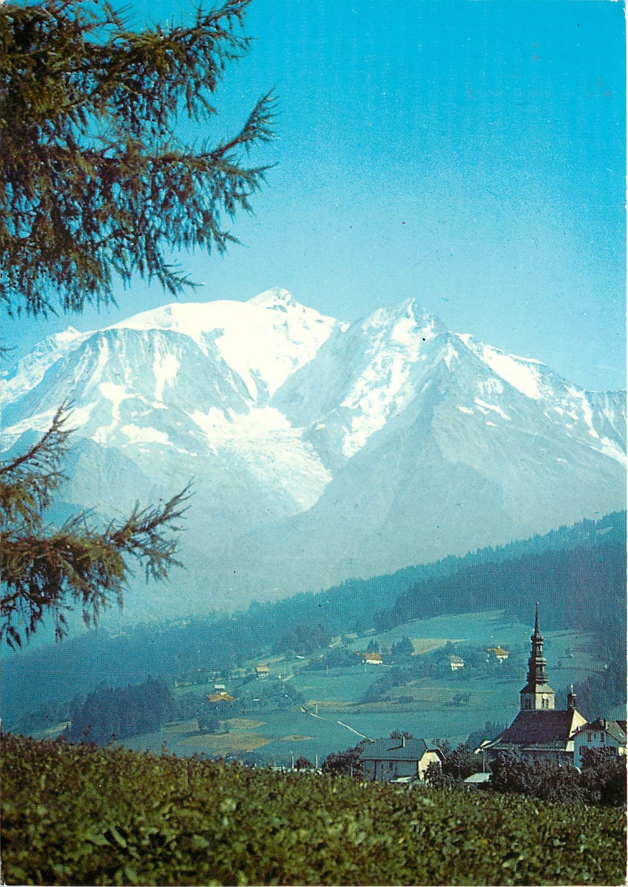 CPSM Paysage de Savoie Petit Village Savoyard le Mont Blanc