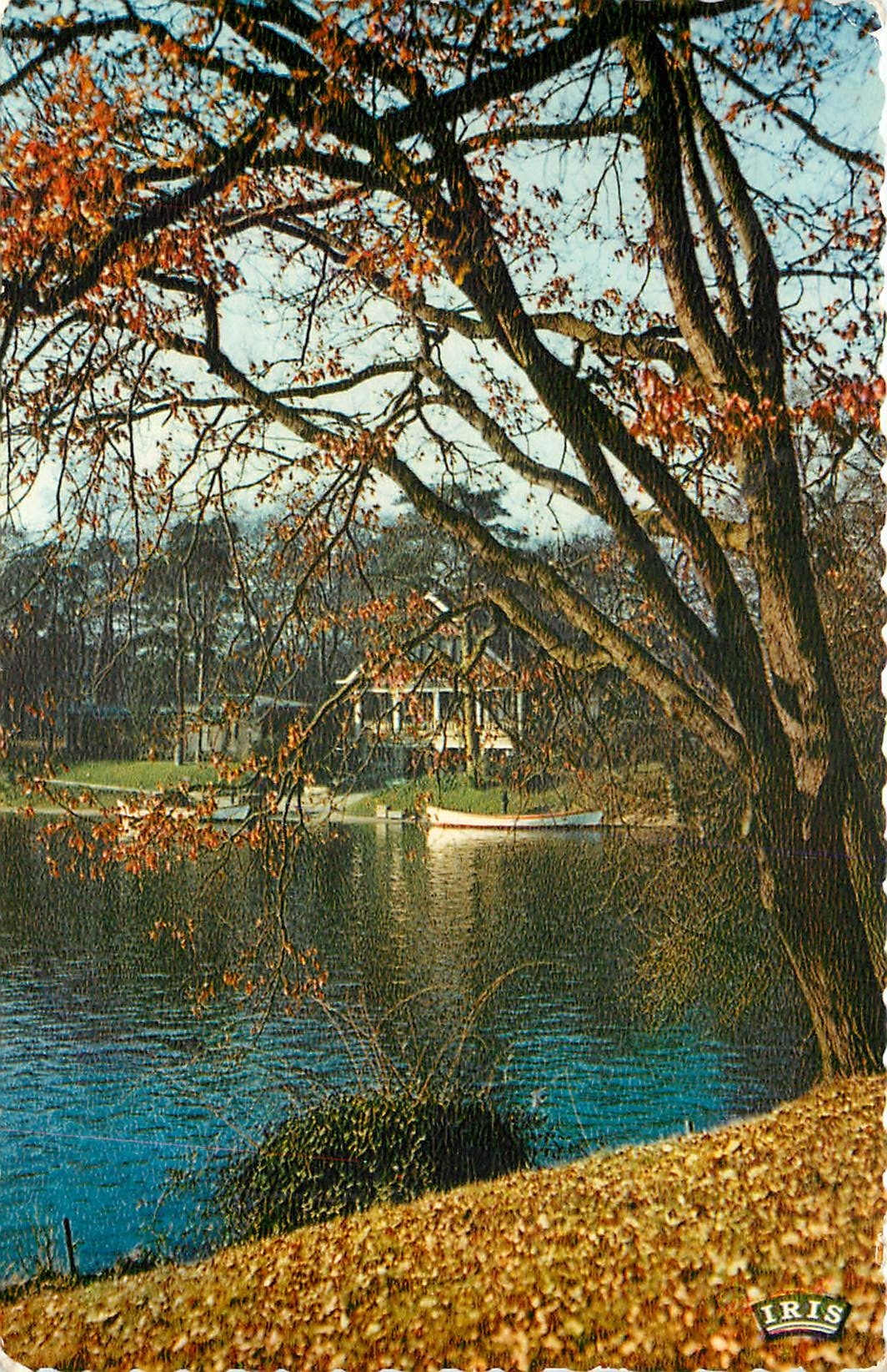 CPSM Paris Le Bois de Boulogne Paysage d'Automne au bord du Lac