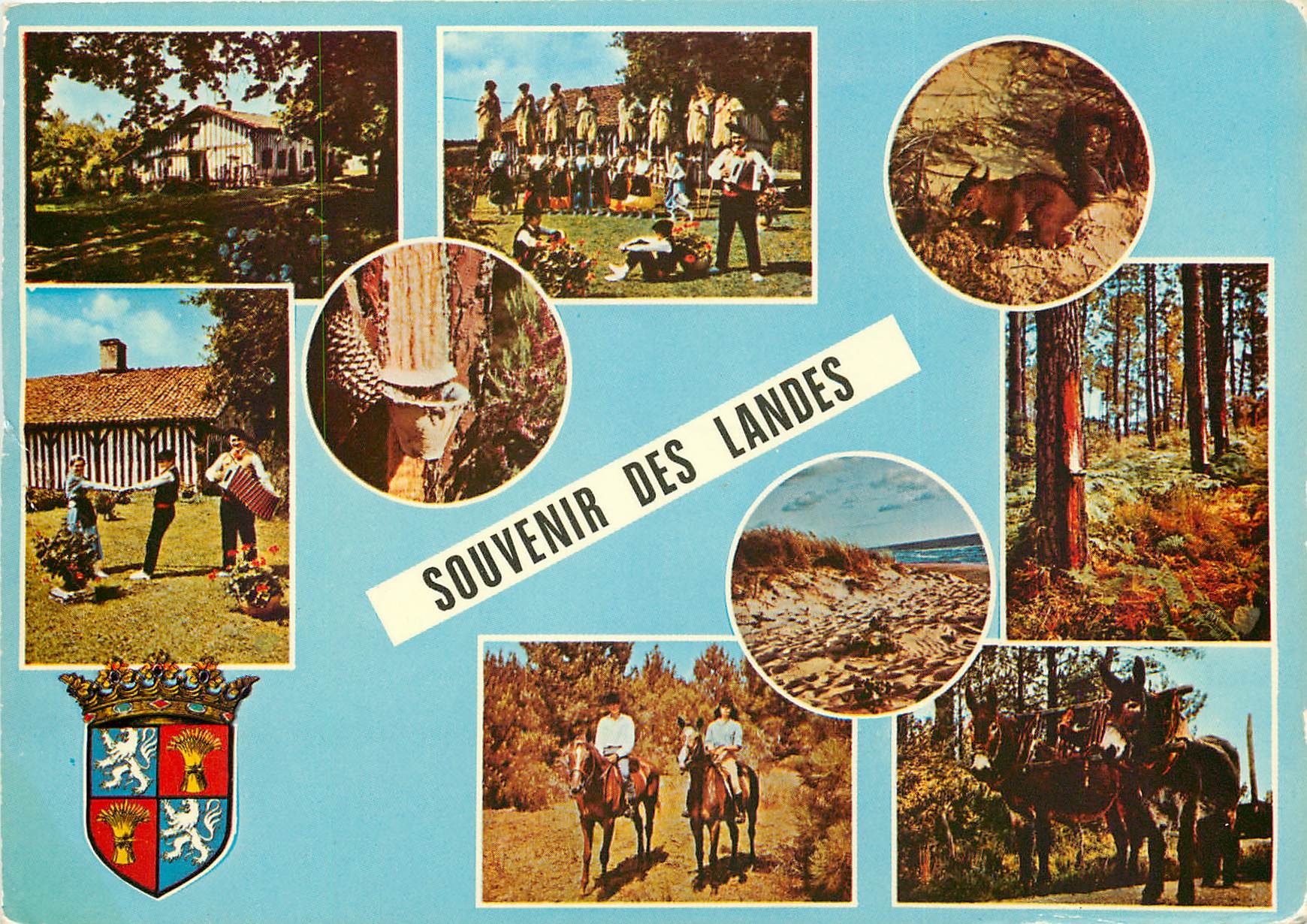 CPSM Les Landes Pittoresques