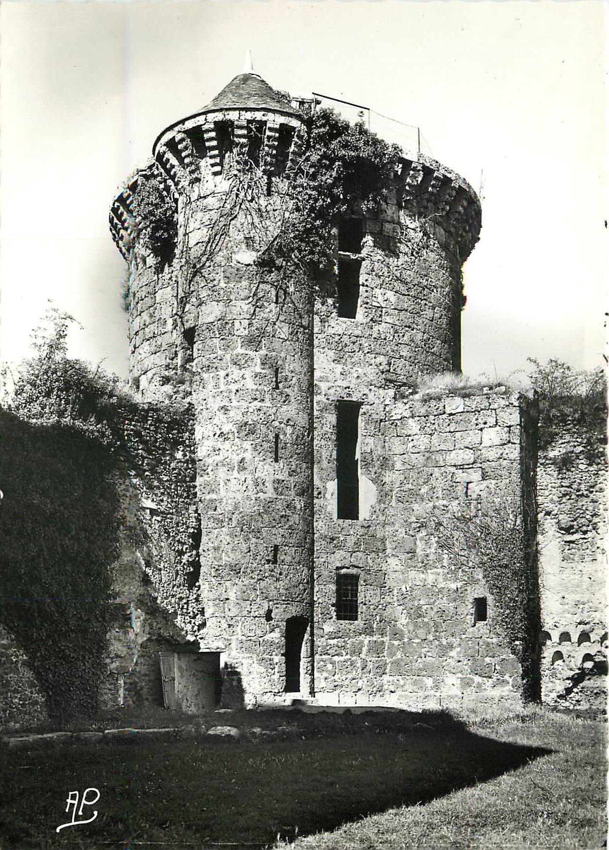 CPSM Chevreuse (S et O) La Madeleine Tour des Gardes