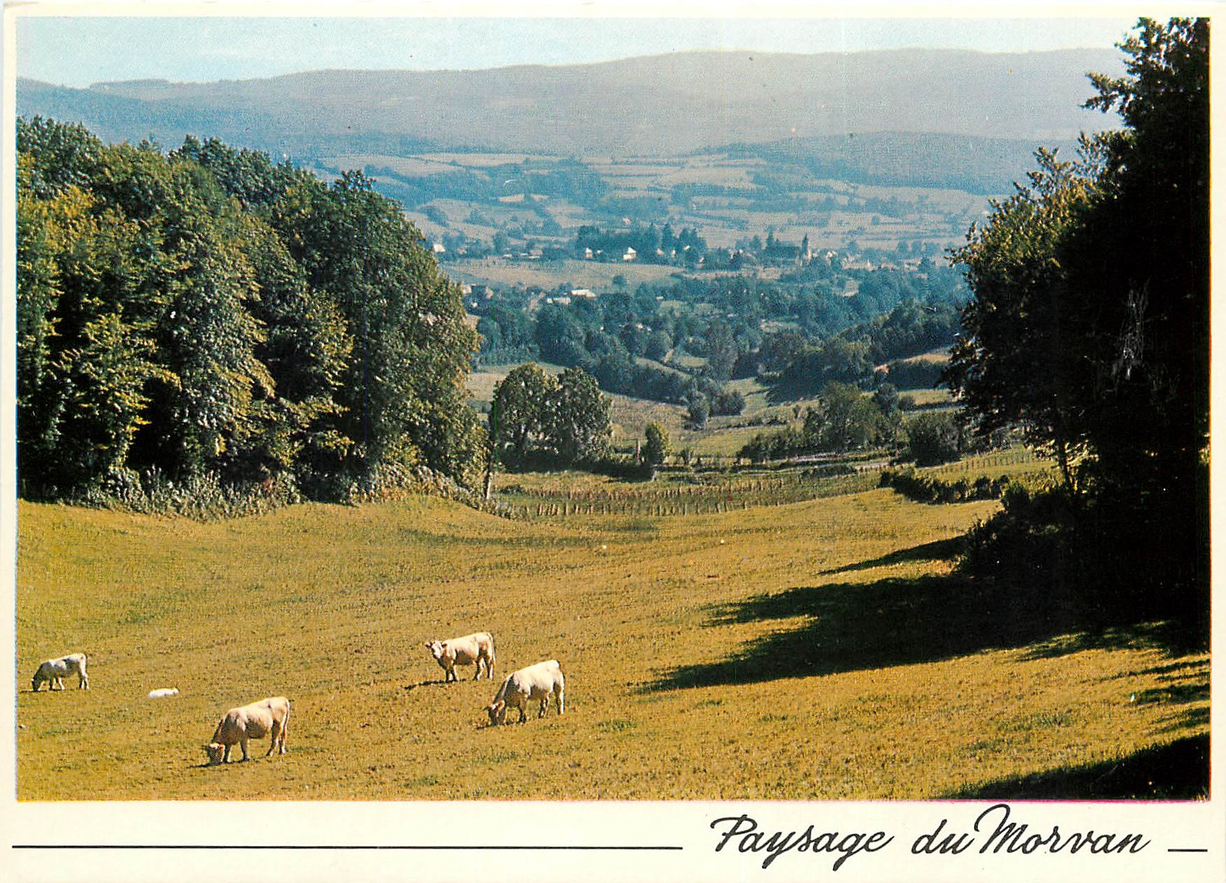 CPSM Paysage du Morvan