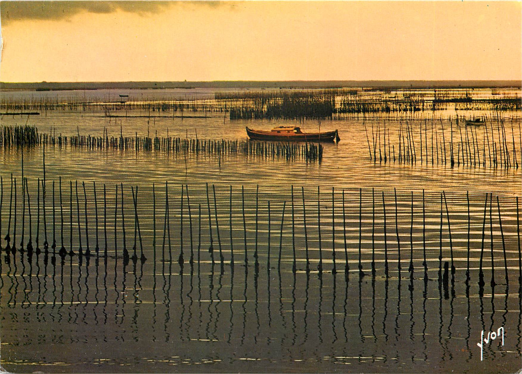 CPSM Bassin d'Arcachon (Gironde) Dans les parc a huitres
