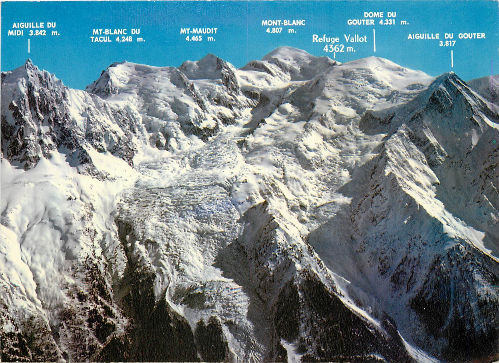 CPSM Chamonix Mont Blanc (Hte Savoie) Vue panoramique sur le Massif du Mont Blanc