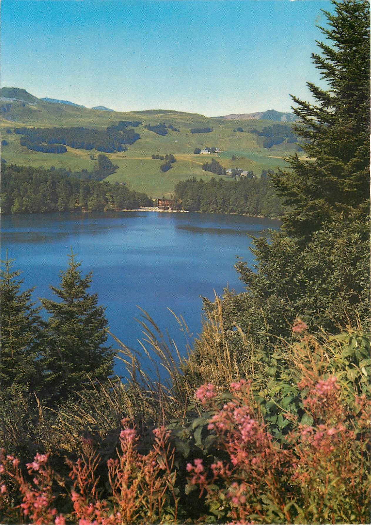 CPSM Le Lac Pavin (alt 1197 m) Profondeur 92 m superficie 44 ha