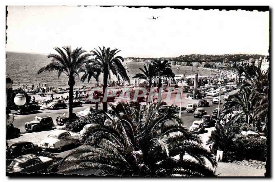CPA Nice A M La promenade des Anglais et ses magnifiquens palmiers 