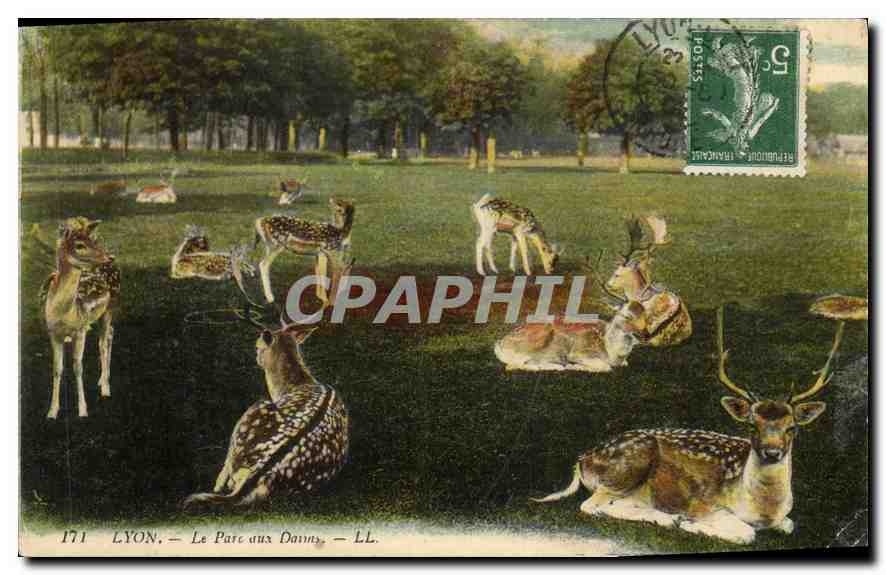 CPA Lyon Le Parc aux Daims
