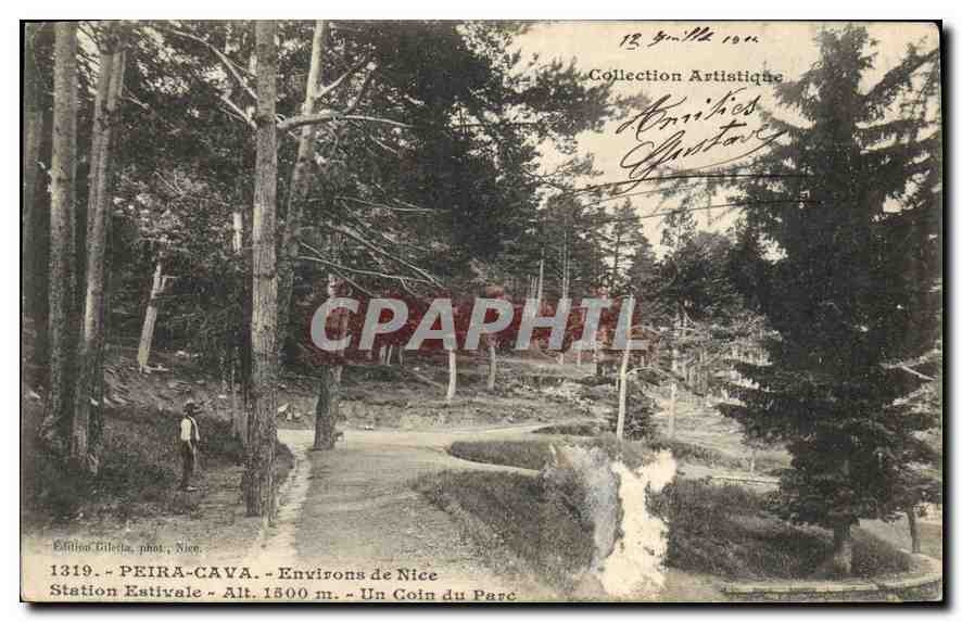 CPA Peira Cava Environs de Nice Station Estivale Un Coin du Parc 