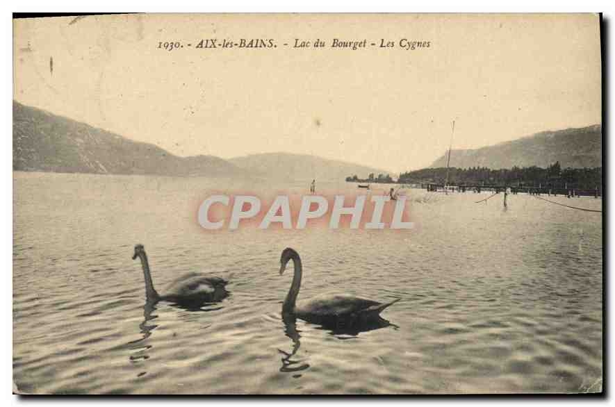 CPA Aix les Bains Lac du Bourget Les Cygnes
