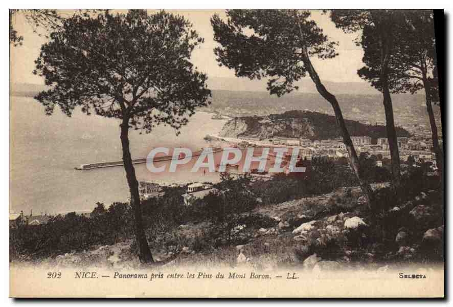 CPA Nice Panomara pris entre les Pins du Mont Boron