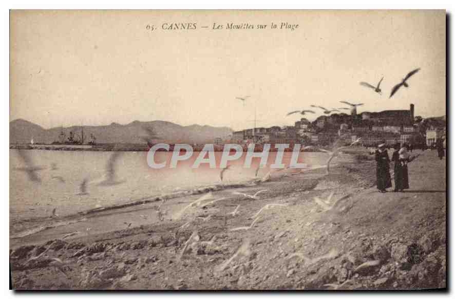 CPA Cannes Les Mouettes sur la Plage 