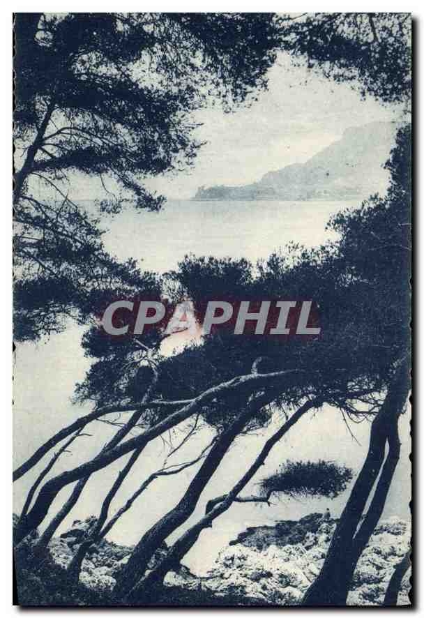 CPA Cap Martin 