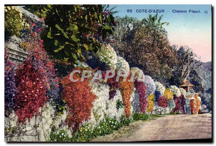 CPA Cote d'Azur chemin Fleuri 