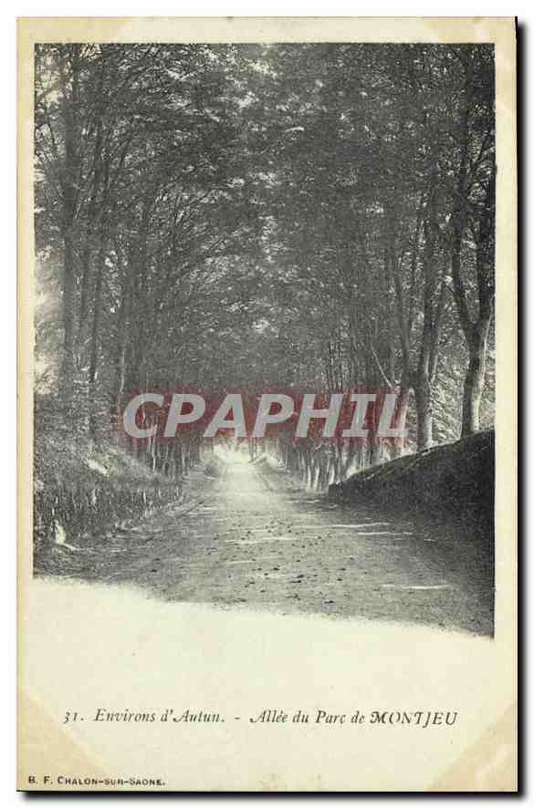 CPA Environs d'Autun Allee du Parc de Montjeu 