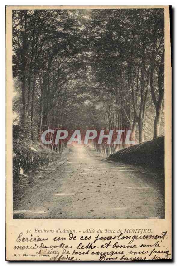 CPA Environs d'Autun Allee du Parc de Montjeu 