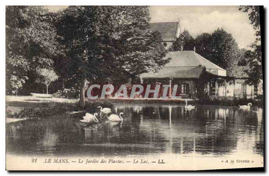 CPA Le Mans Le Jardin des Plantes Le Lac 