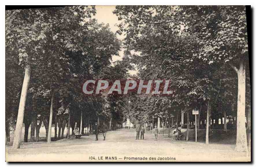 CPA Le Mans Promenade des Jacobins 