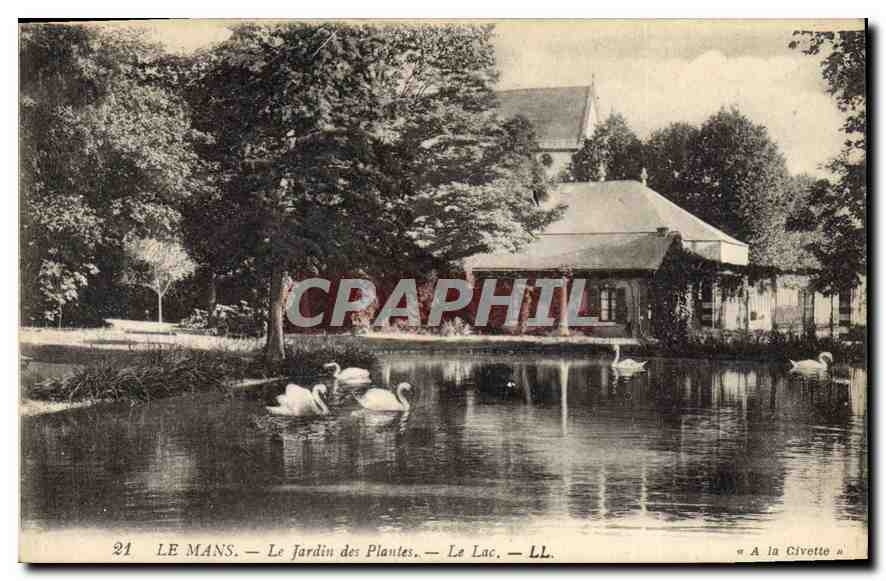 CPA Le Mans Le Jardin des Plantes Le Lac 