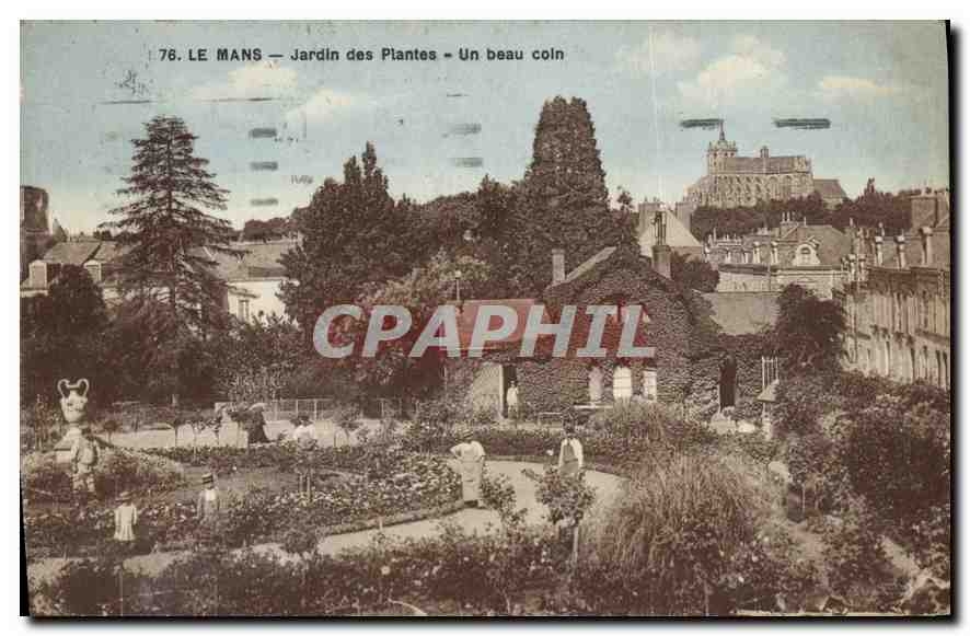 CPA Le Mans Jardin des Plantes Un beau coin 