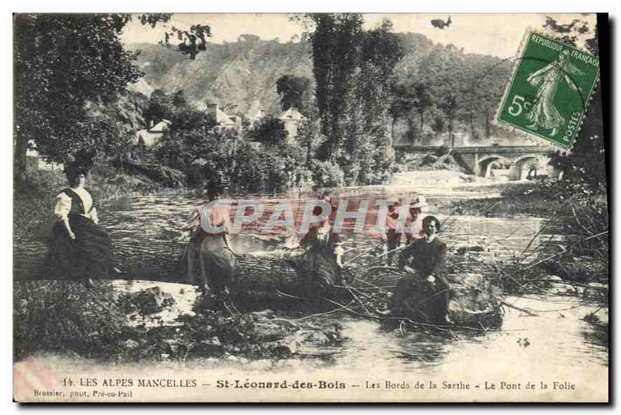 CPA Les Alpes Mancelles St Leonard des Bois 