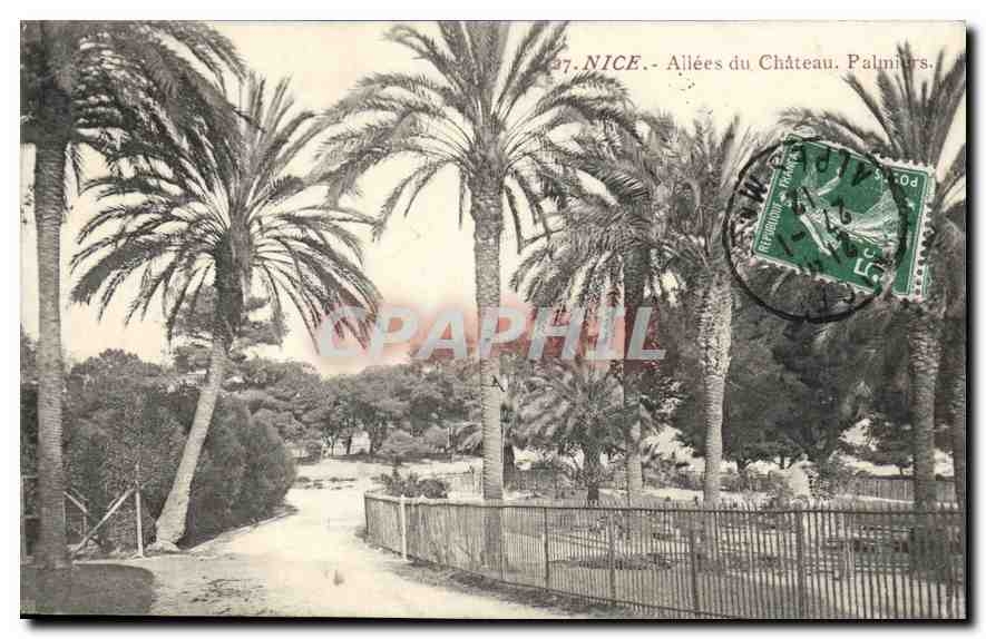 CPA Nice Allees du Chateau Palmiers