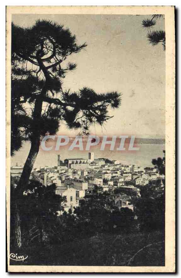 CPA Cannes (A M) La Mer Le Mont Chevalier