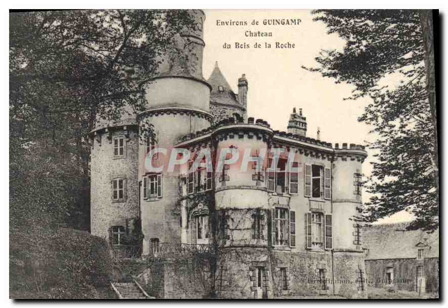 CPA Environs de Guingamp Chateau du Bois de la Roche