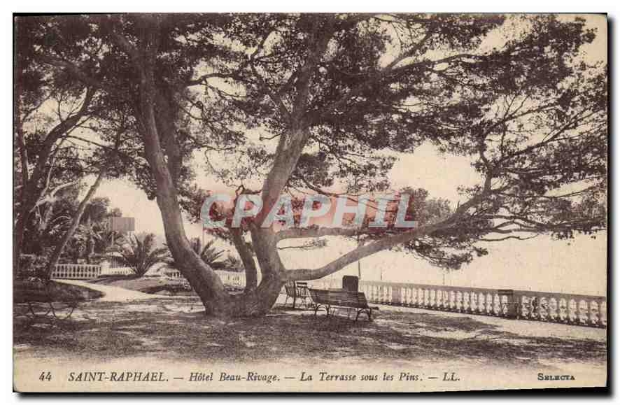 CPA Saint Raphael Hotel Beau Rivage La Terrasse sous les Pins