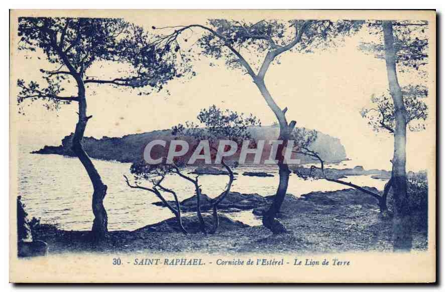 CPA Saint Raphael Corniche de l'Esterel Le Lion de Terre