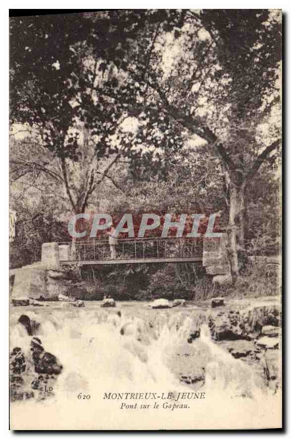 CPA Montreux Le Jeune Pont sur le Gapeaux