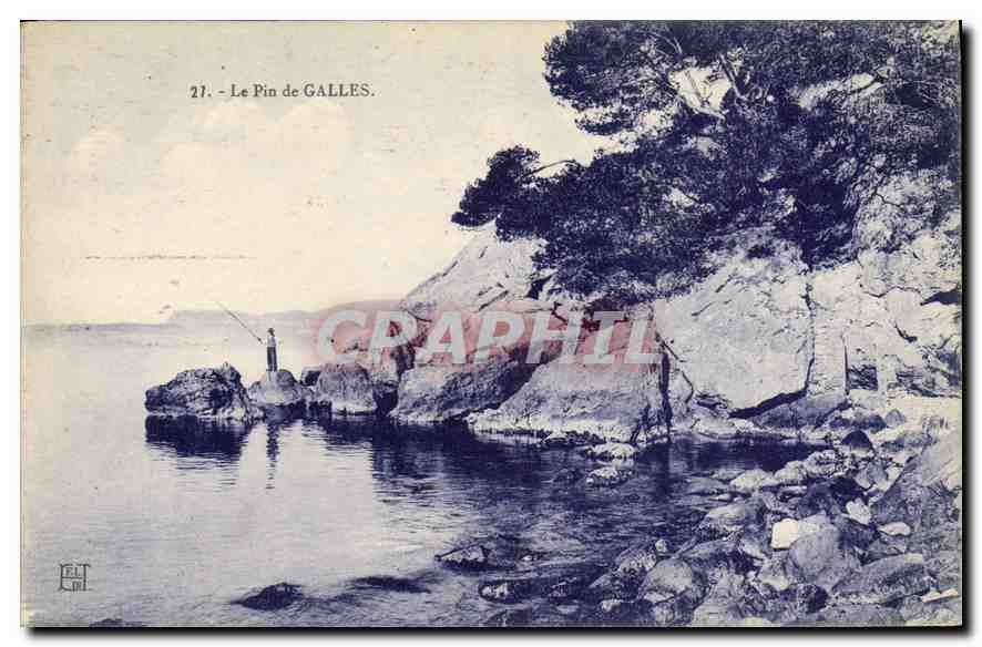 CPA Le Pin de Galles 