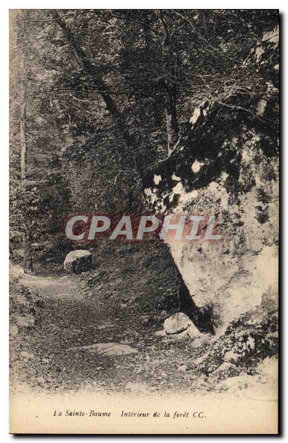 CPA La Sainte Baume interieur de la Foret