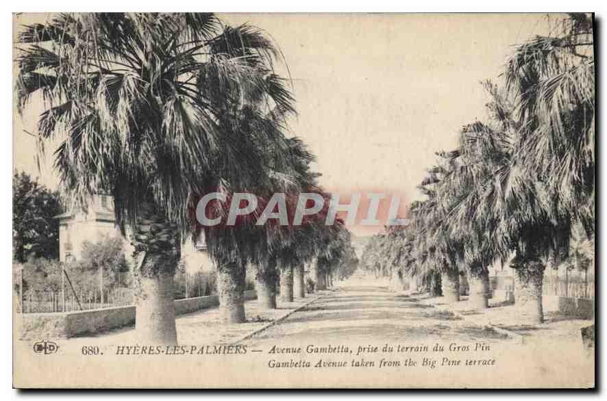 CPA Hyeres les Palmiers Avenue Gambetta prise du terrain du Gros Pin