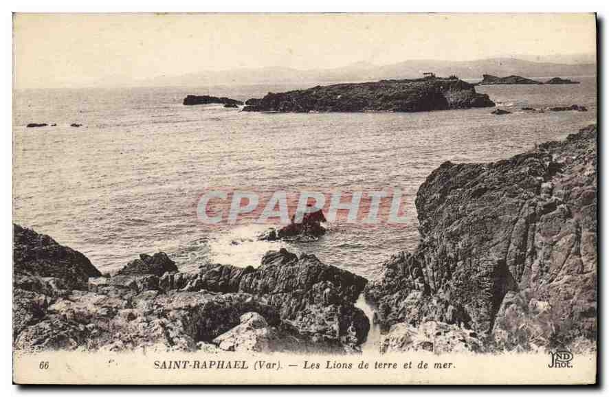 CPA Saint Raphael Var les Lions de terre et de mer