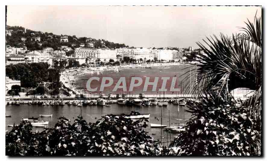CPA La Cote d'Azur Cannes le port et les grands hotels