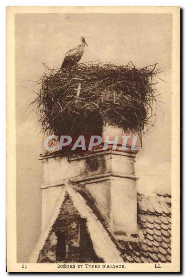 CPA Scenes et Types d'Alsace 