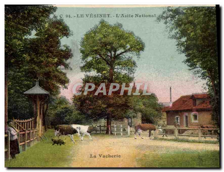 CPA Le Vesinet l'Asile National La Vacherie Vaches