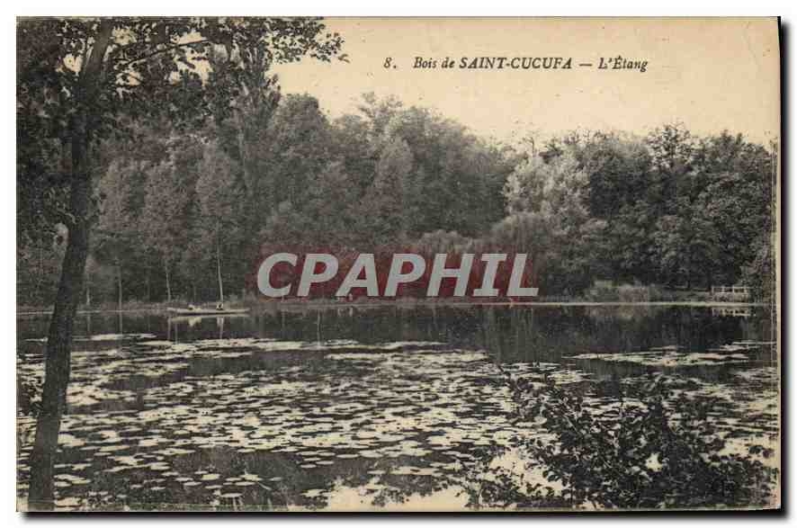 CPA Bois de Saint Cucufa l'Etang 