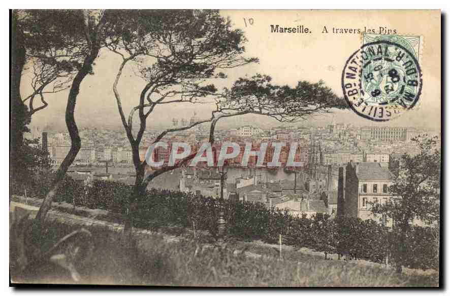 CPA Marseille a Travers les Pins 