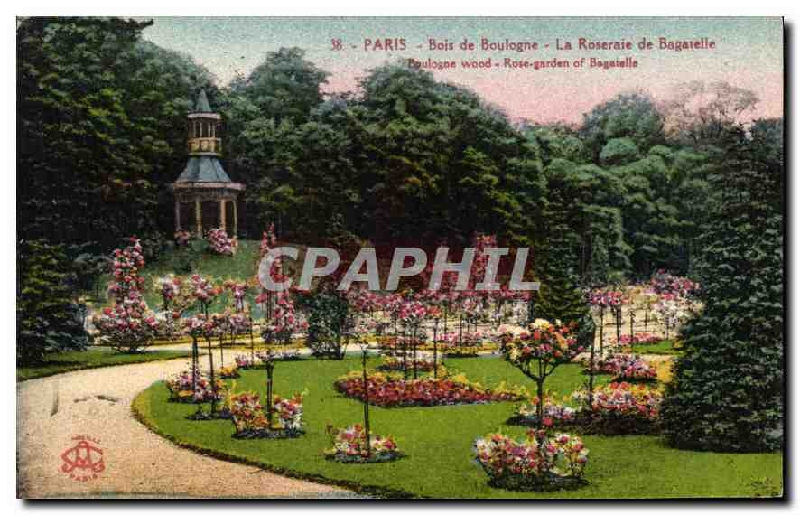 CPA Paris Bois de Boulogne La Roseraie de Bagarelle
